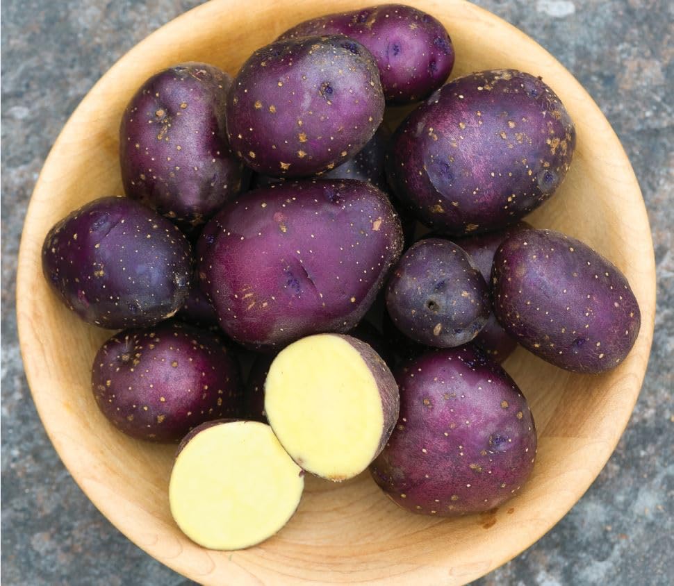 Harvest Moon Baby Seed Potatos for Planting - Easy to Grow