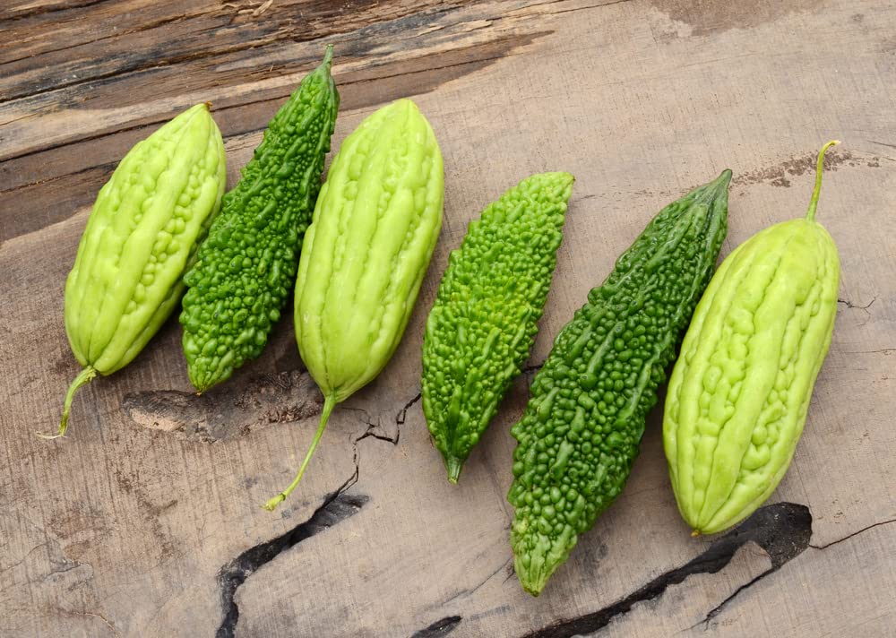 Smooth Bitter Melon Vine Seeds for Planting - 10 Seeds - Bitter Melon Rare and Hard to Find. Ships from Iowa, USA