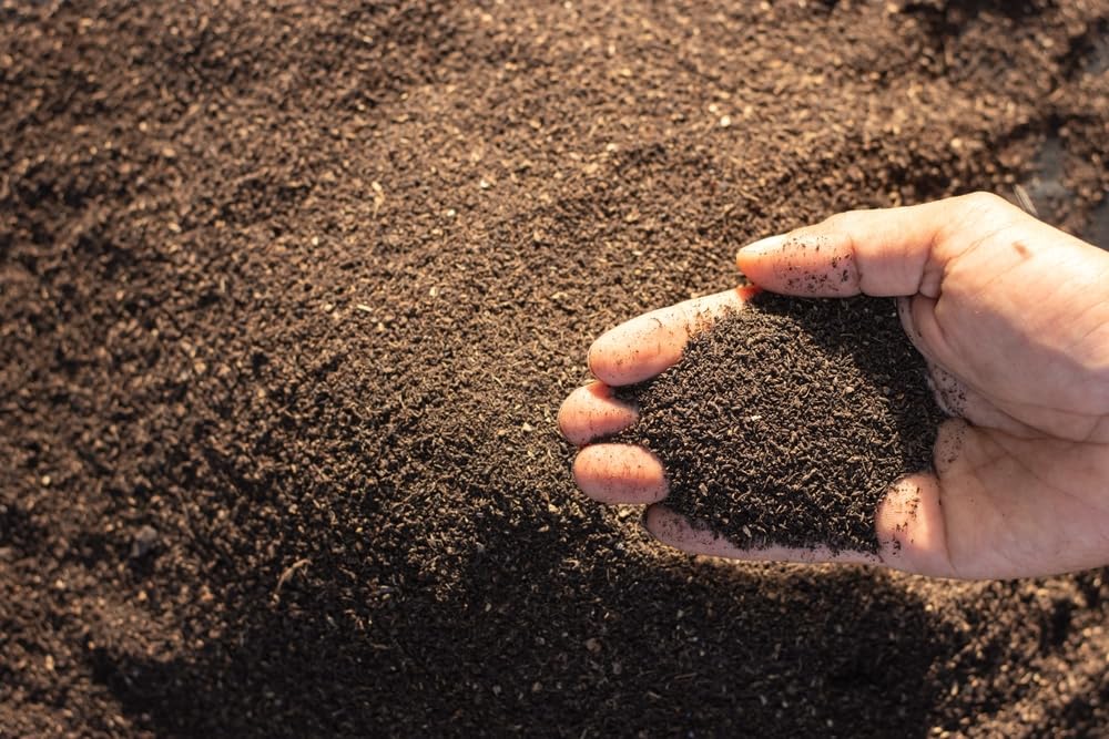 Premium Worm Castings, Soil Builder, Soil Amendment - Vermicast (10 Pounds)