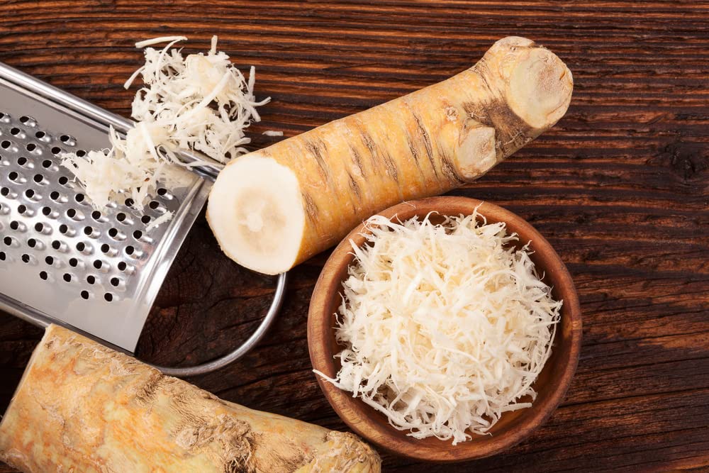 Horseradish Roots for Planting - Grow Big Top Horseradish - Horseradish Crowns Garden Plant, Large Roots