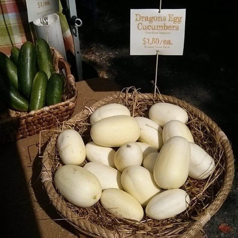 Fruit Seeds for Planting - Garden Fruit Seeds (Dragon Eggs - 20 Seeds)