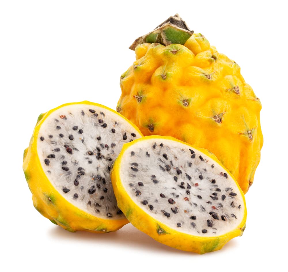Two Yellow Dragon Fruit - 2 Pieces of Giant Fresh Fruit, Exotic Tropical Fruit - 3-4 Inches Long