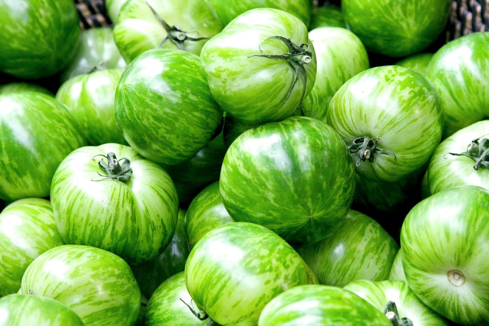 Green Zebra Tomato Seeds - 50+ Seeds, Made in USA - Stunning Color