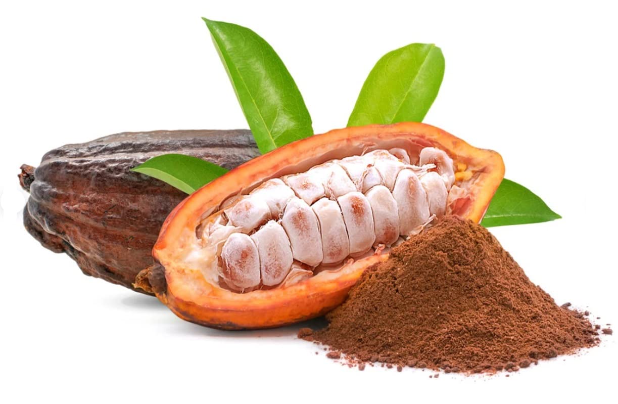 Fresh Cacao Seeds for Planting - Wet Cocoa Seeds - Make Chocolate, Great as Bonsai