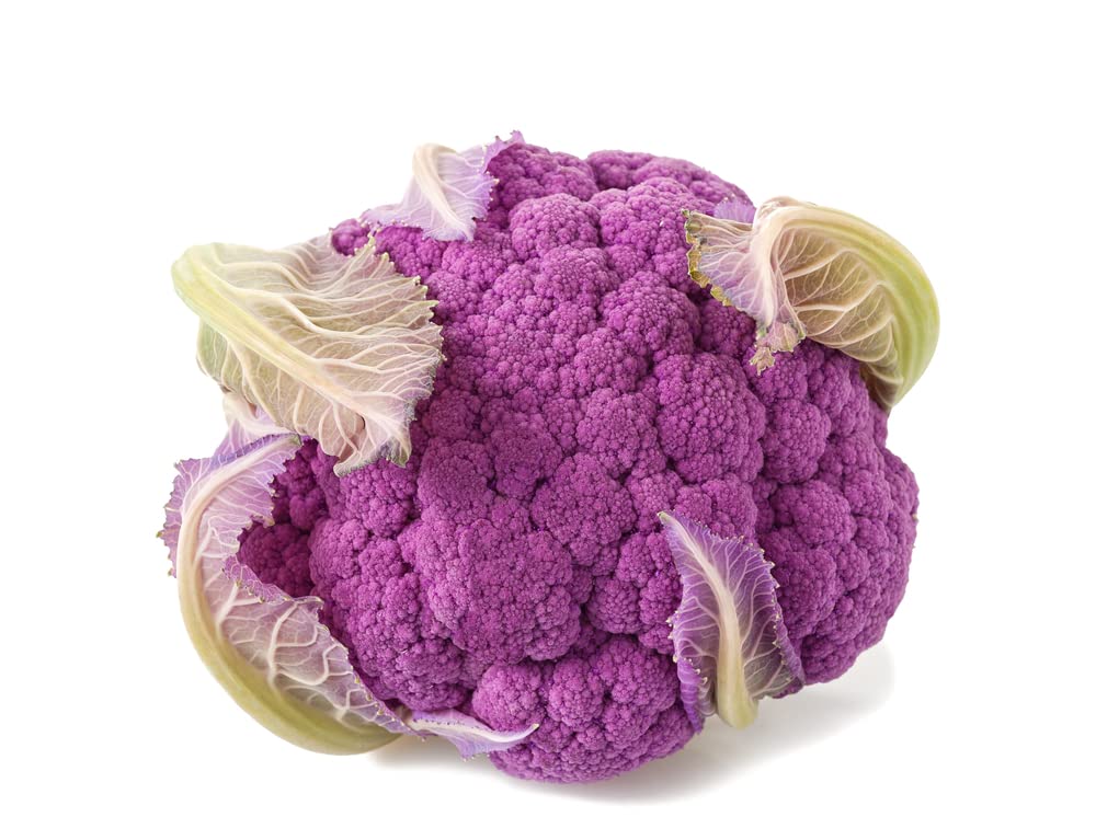 100 Purple Broccoli Seeds | Fresh Garden Seeds | Made in USA. Ships from Iowa