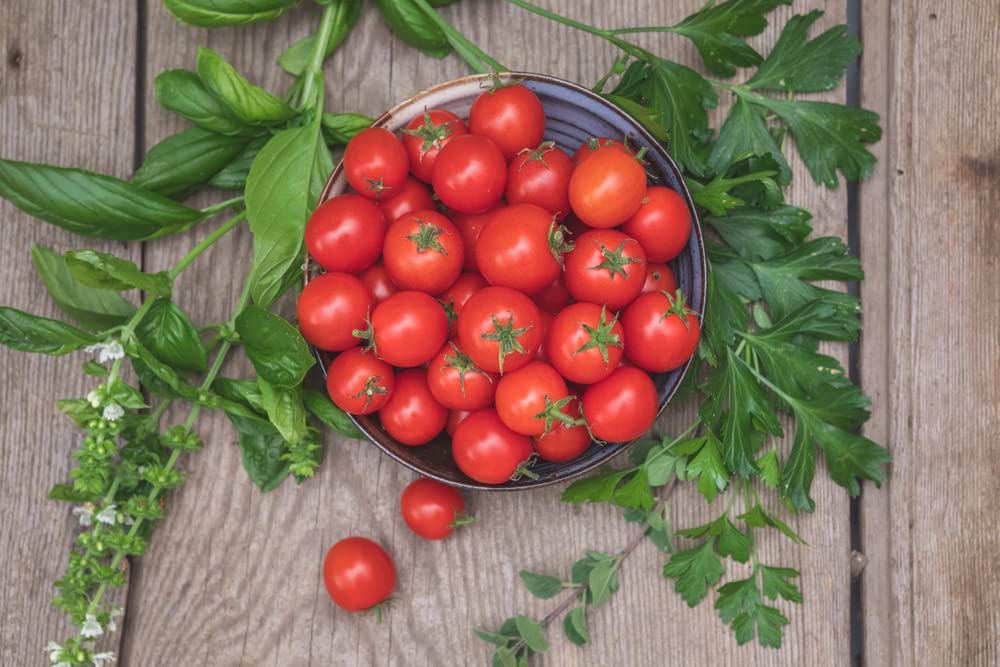 Pink Cherry Tomato Seeds (40+ Seeds) | Non GMO | Vegetable Fruit Herb Flower Seeds for Planting | Ships from Iowa, USA