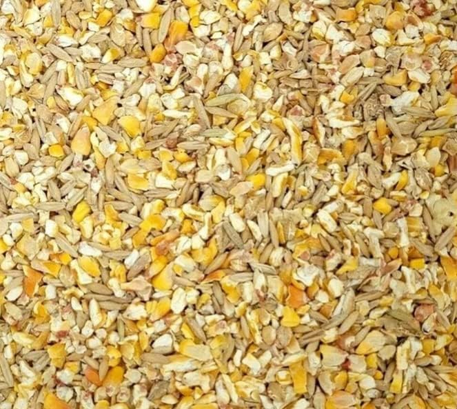 CZ Grain Premium Scratch Grains Bird Feed - Corn, Sunflowers, Wheat, Oats, Barley, Milo and Millet - Well Balanced Mix for Great Nutrition for Chickens and Ducks (12 Ounces)