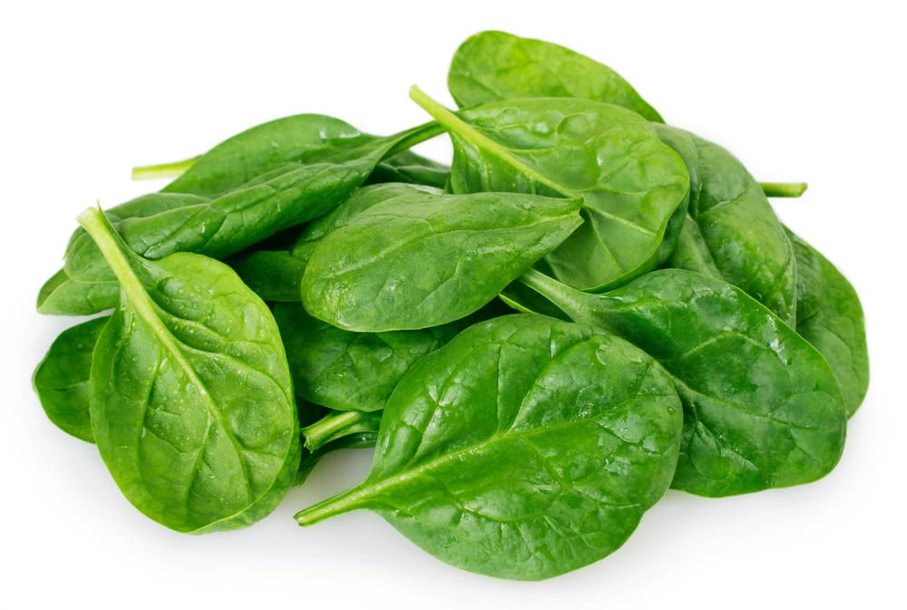 200+ Spinach Seeds for Planting- Space Hybrid Spinach