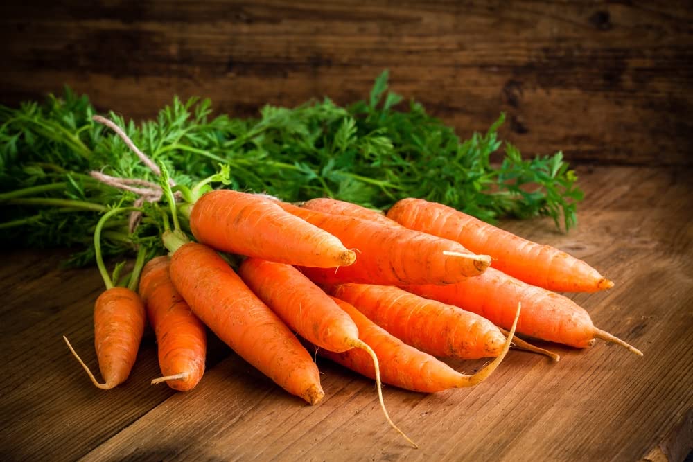Little Finger Carrot Seeds | Heirloom & Non-GMO Carrot Seeds | 250+ Vegetable Seeds for Planting Outdoor Home Gardens | Planting Instructions Included