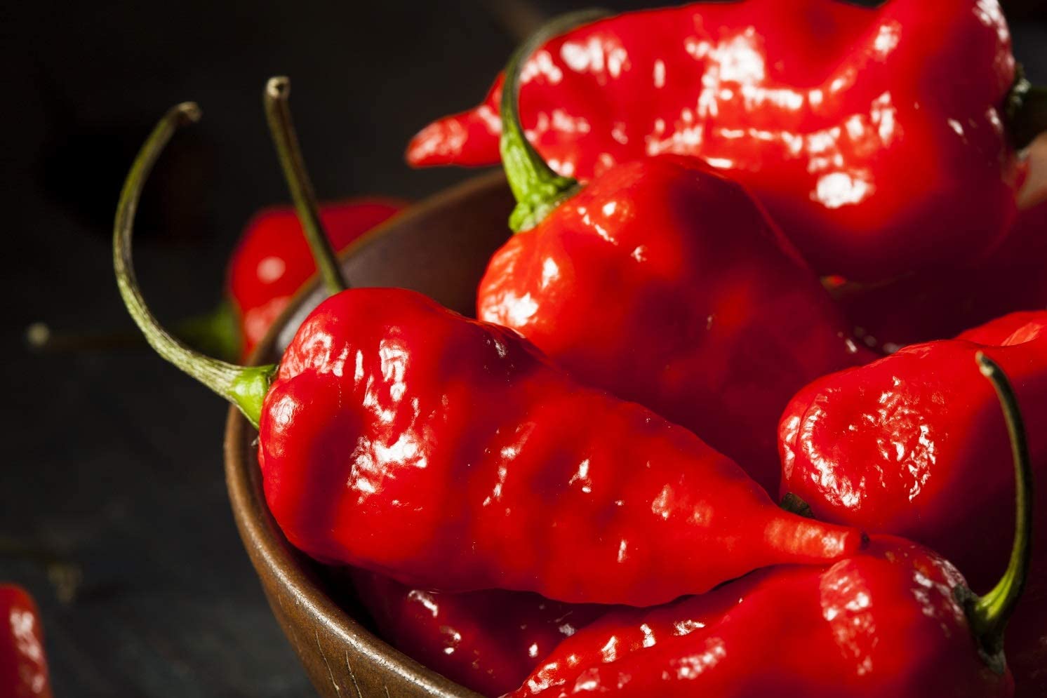 Ghost Pepper Seeds to Plant - 20+ Seeds - The Hottest Peppers! Add Amazing Flavor. Made in USA. Ships from Iowa