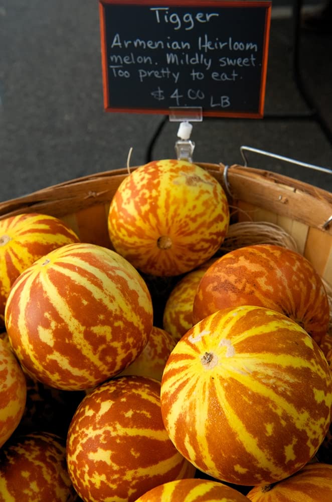 10 Rare Tiger Melon Seeds | Exotic Garden Fruit Seeds to Plant |