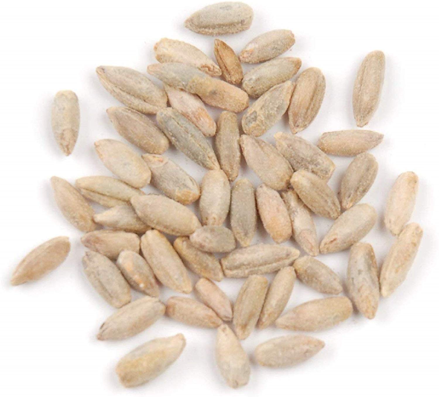 Winter Rye Seed, 5 Pounds