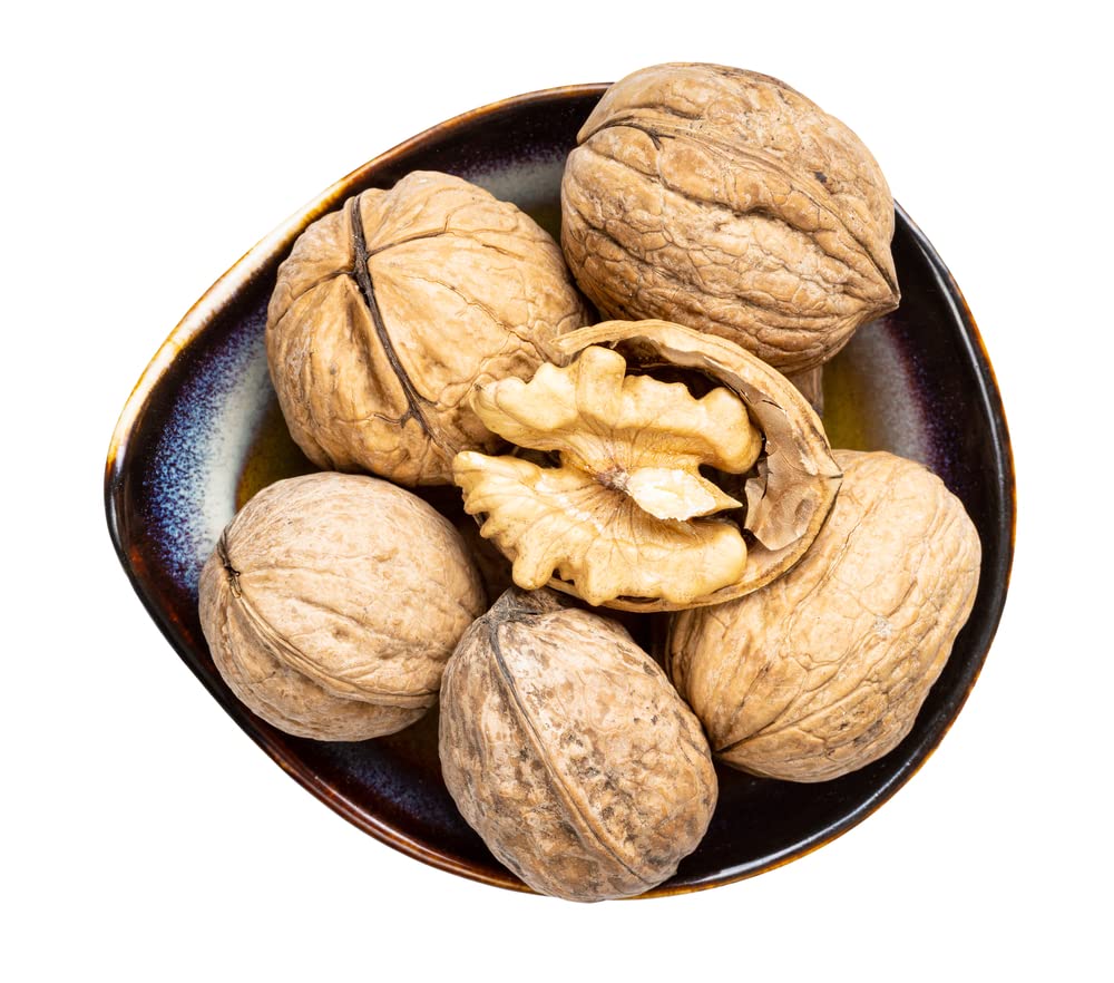 Carpathian Walnut Seeds for Planting - 5 Seeds - Juglans regia Carpathian