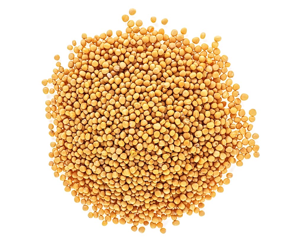 Yellow Mustard Seeds for Planting - Grow Mustard Herb Plants