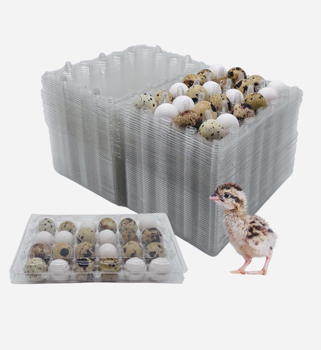50 Pcs Quail Egg Cartons - 24 Cell Small Quail Eggs Basket, Pigeon Eggs, Bulk Carton Quail Egg Tray Container for Refrigerator