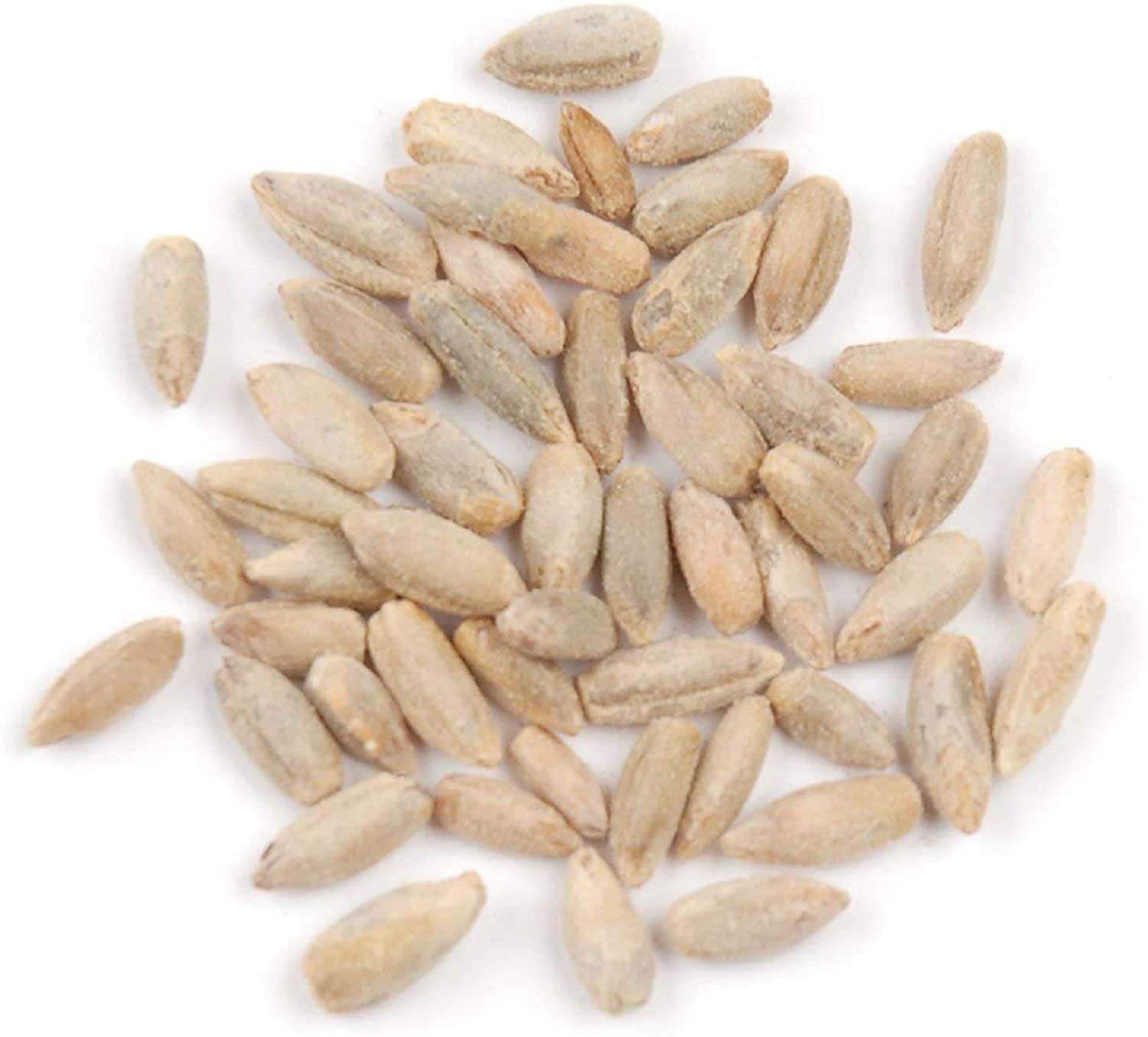 10 Lbs No-Till Winter Rye Cover Crop Seeds - Non-GMO Rye - Deer & Turkey Food Plot Seed - Winter Hardy Cover Crop