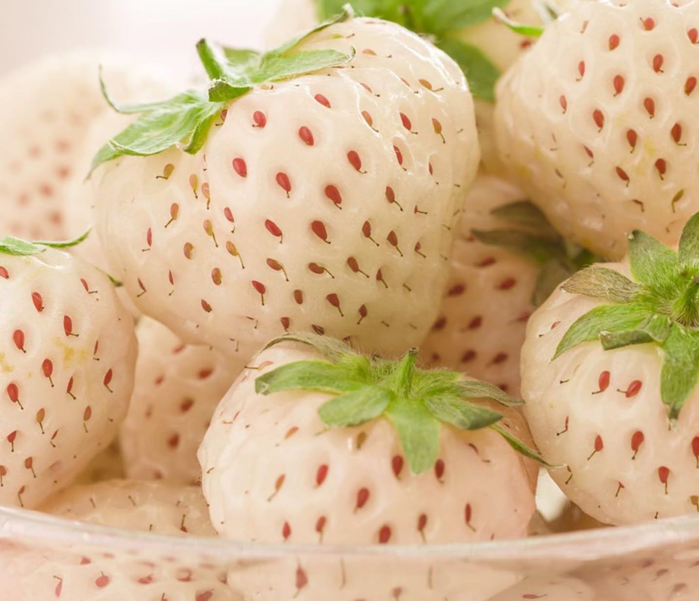 100 White Strawberry Seeds for Planting - Pineberry Fruit Seeds