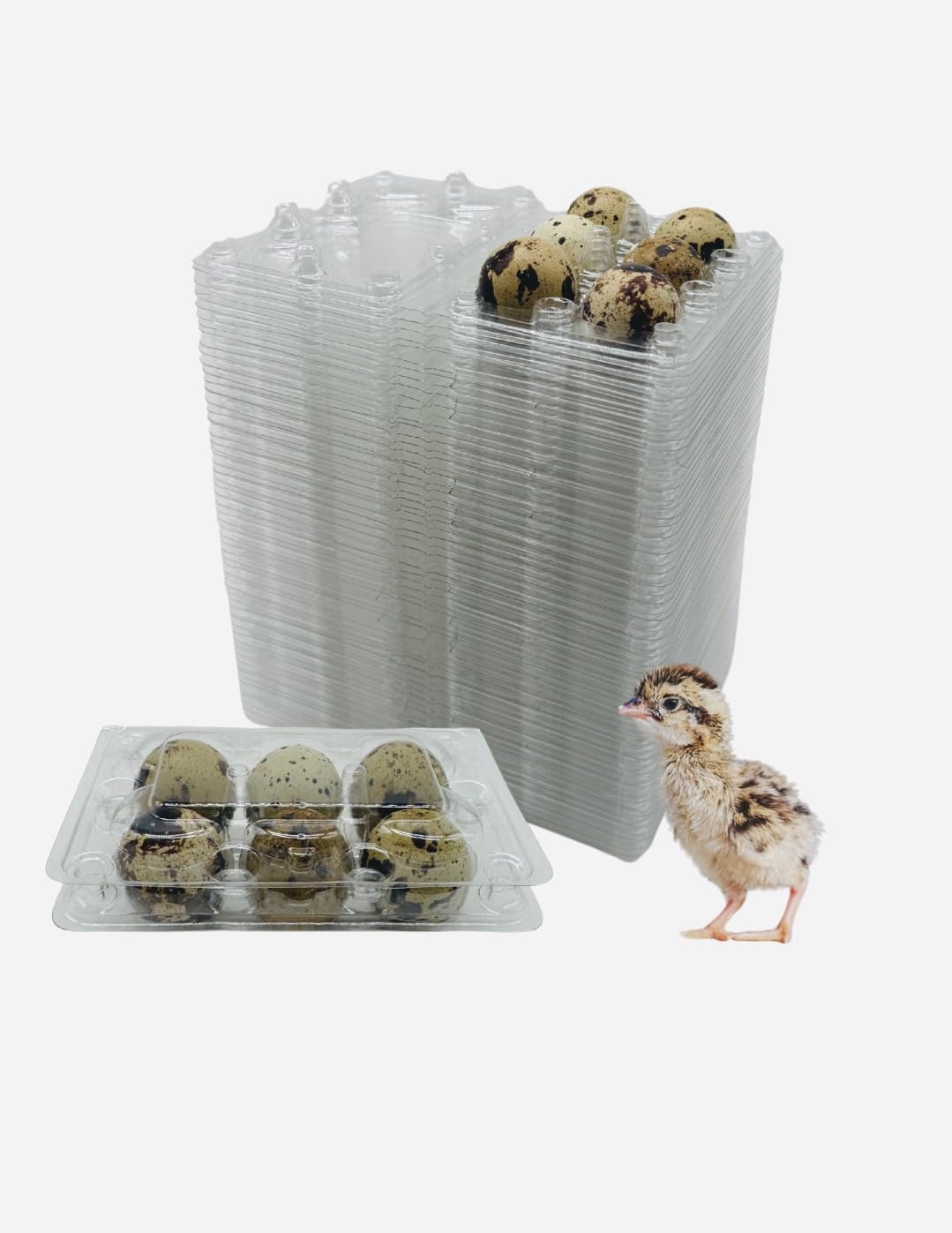 100 Pcs Quail Egg Cartons - 6 Cell Small Quail Eggs Basket, Pigeon Eggs, Bulk Carton Quail Egg Tray Container for Refrigerator