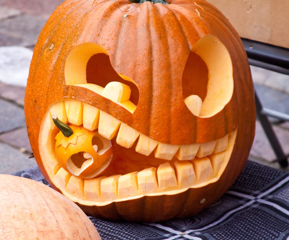 20 Big Max Pumpkin Seeds for Planting - Great for Jack-O-Lantern