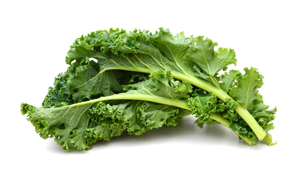 Kale Seeds to Plant | 100+ Seeds | Dwarf Blue Kale Seeds for Planting | Grow Your Own Food