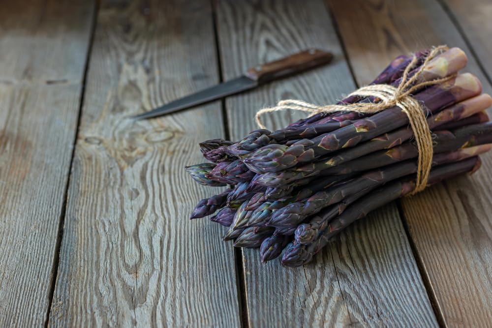 Purple Passion Asparagus Bare Root Plants to Grow - 2yr Crowns - Grow Colorful and Delicious Purple Asparagus