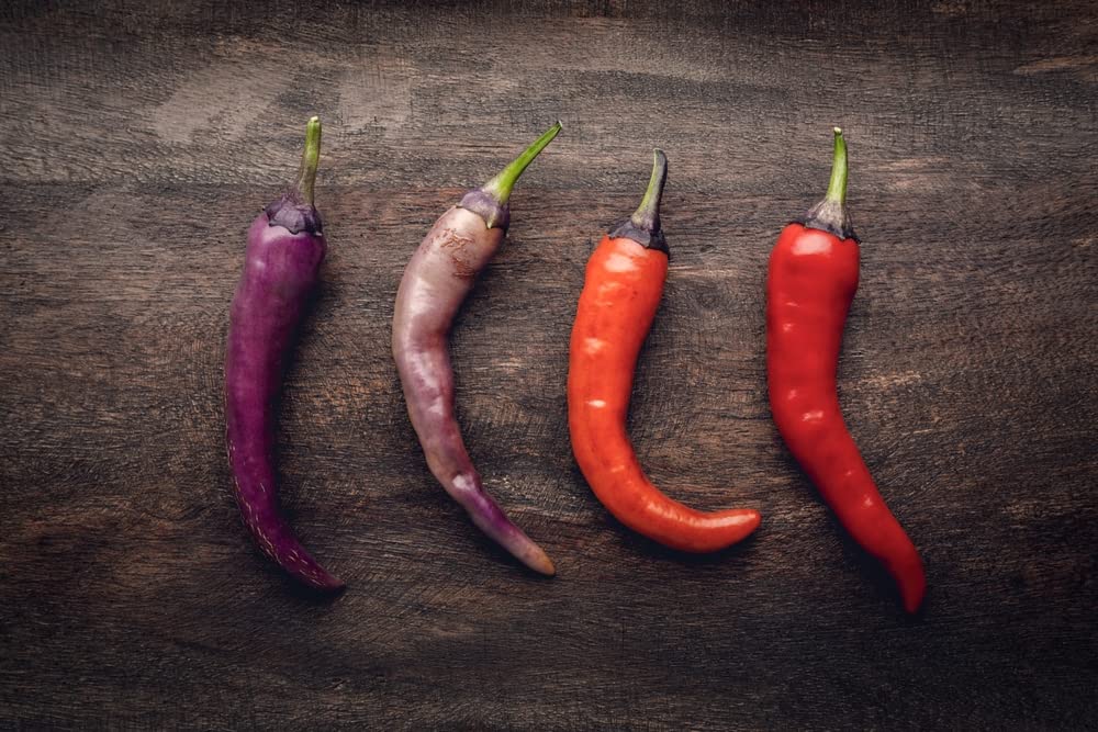 Buena Mulata Pepper Seeds to Plant - 50+ Seeds - Versatile Pepper for Eating and Seasoning