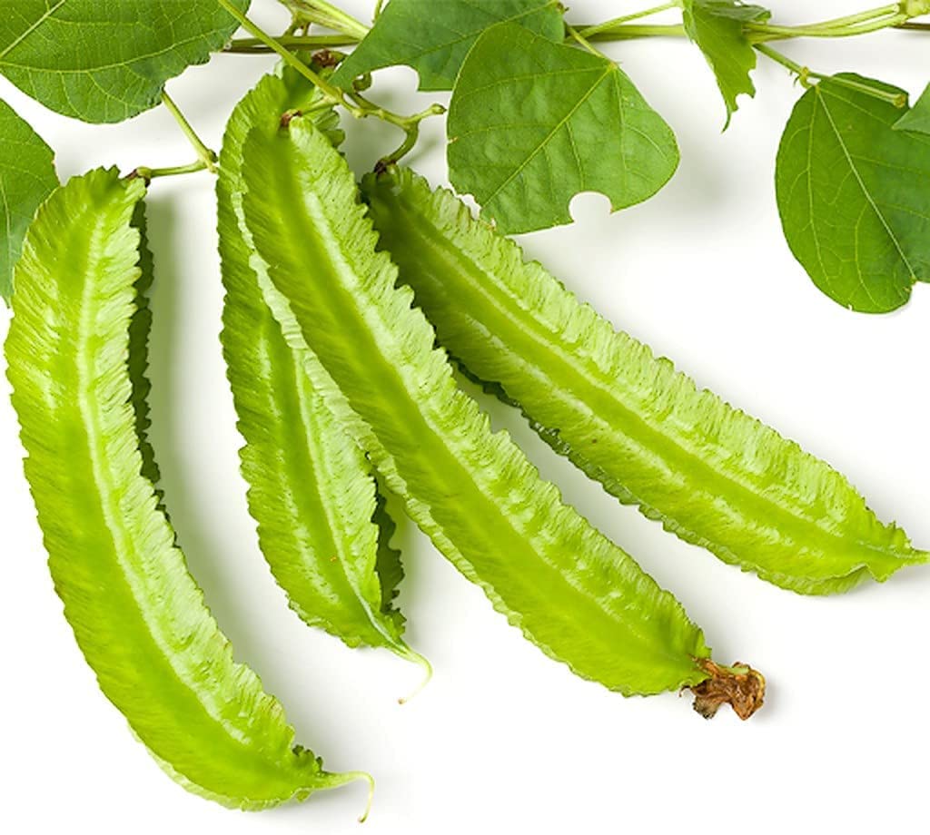 10 Winged Bean Seeds for Planting - Easy to Grow Exotic Asian Winged Bean