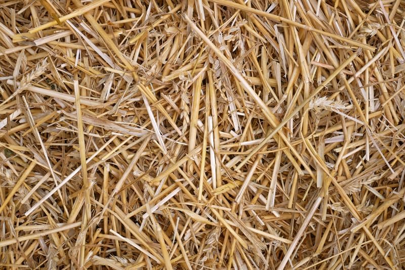 100% Natural Wheat Straw for Animal Bedding, Garden Mulch, Compost & Fertilizer, and Grass Cover