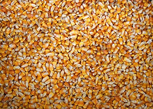 25 lb Whole Kernel Yellow Corn