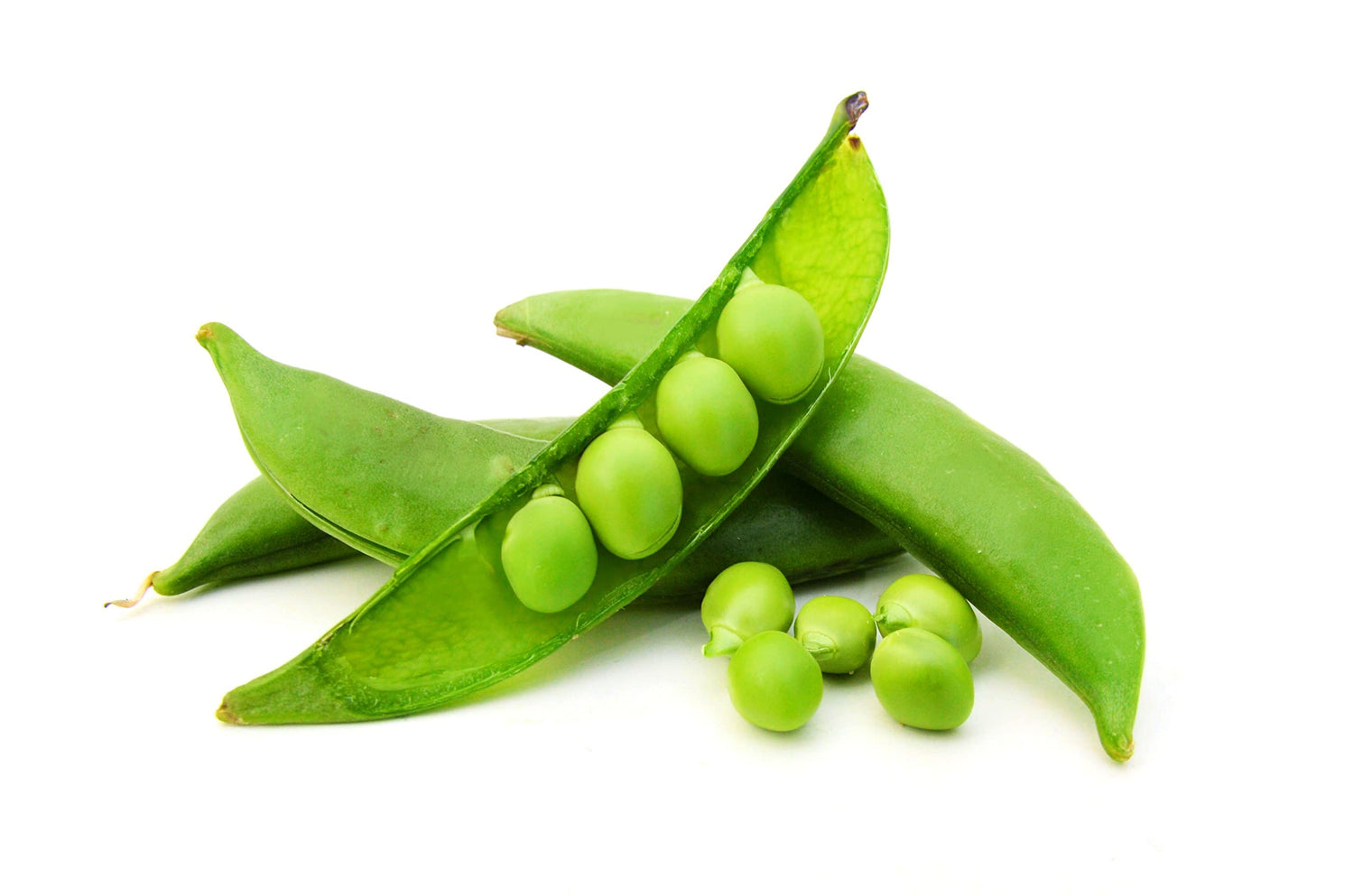 Sugar Daddy Snow Pea Seeds | 100 Seeds to Grow | Vegetable Seeds for Planting, Grow Your Own Food, Delicious