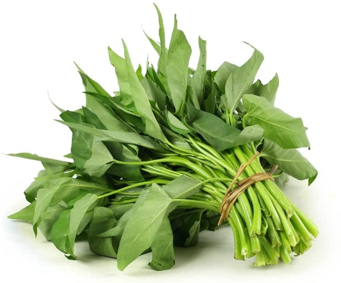 Kong Xin CAI Seeds (250 Seeds) - Green Leaf Vegetable Seeds for Planting Garden - Non-GMO Choy Ong Seeds - Ships from Iowa, USA