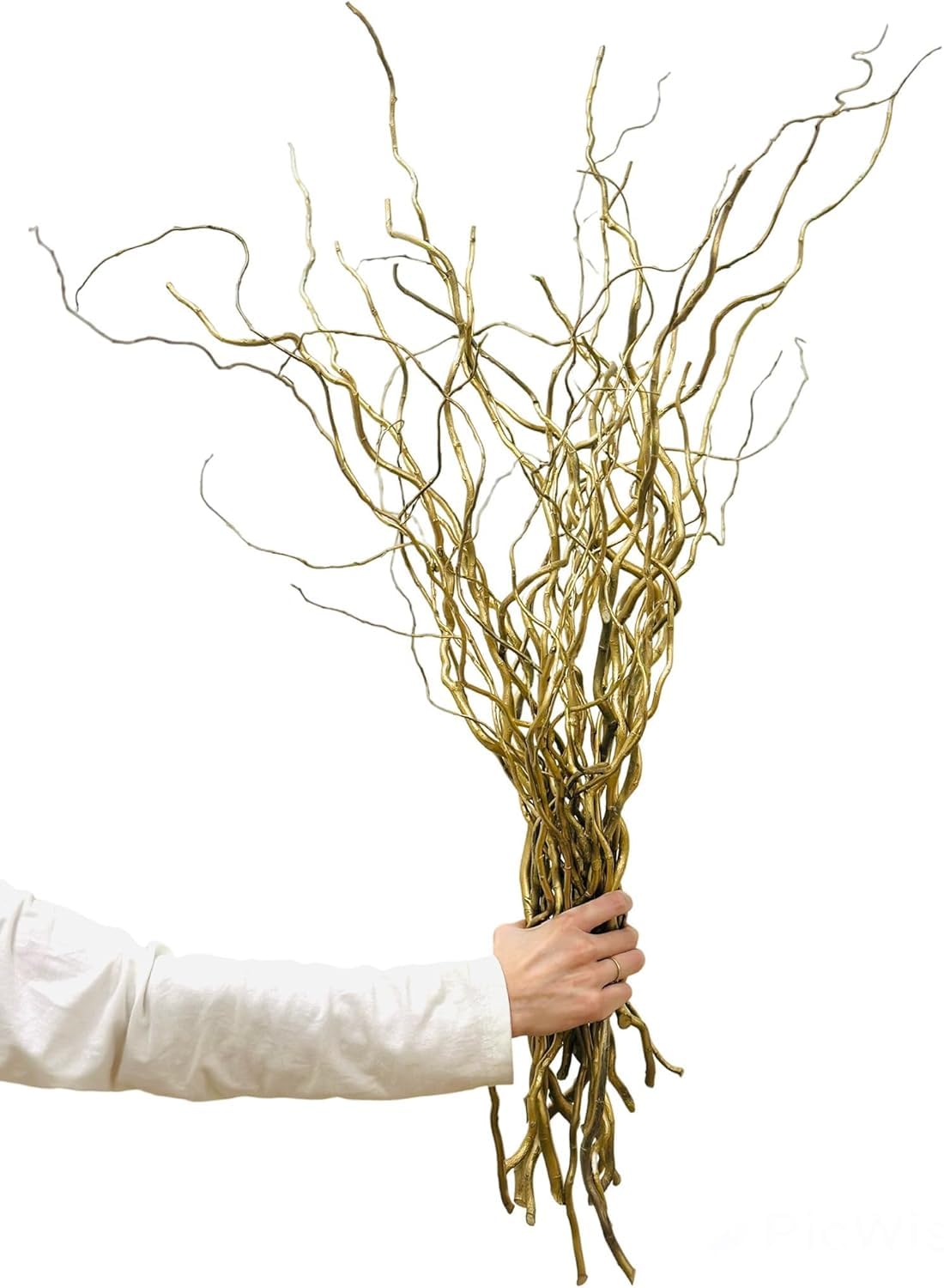 CZ Grain Natural Curly Willow Branches for Decor, 16-24 Inches Long - Wedding or Christmas Decor, Wreathmaking