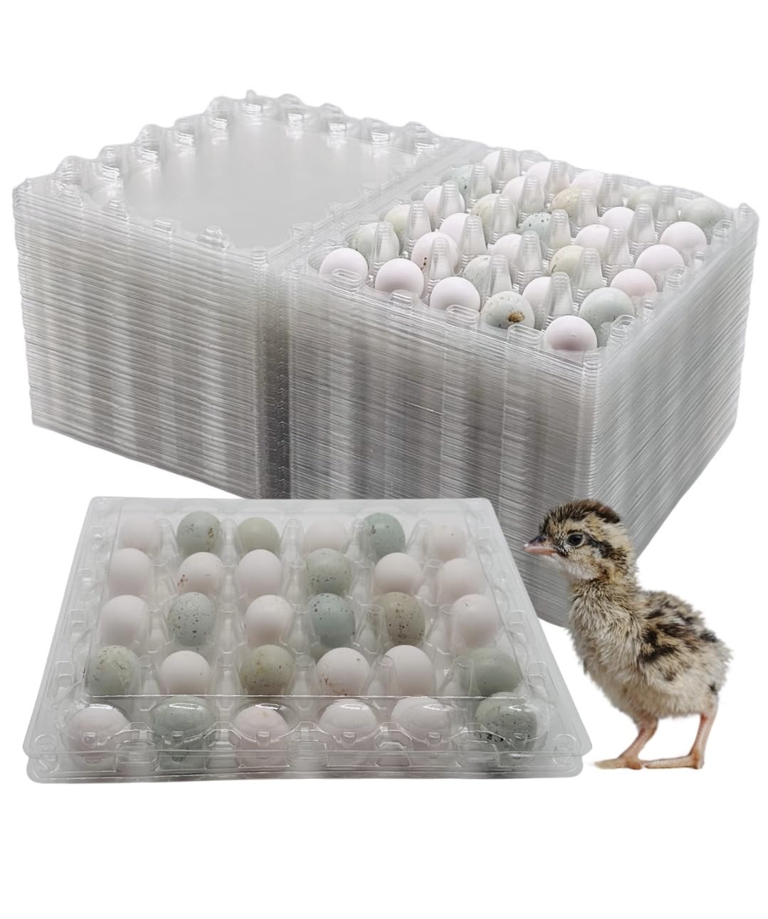 100 Pcs Quail Egg Cartons - 30 Cell Small Quail Eggs Basket, Pigeon Eggs, Bulk Carton Quail Egg Tray Container for Refrigerator