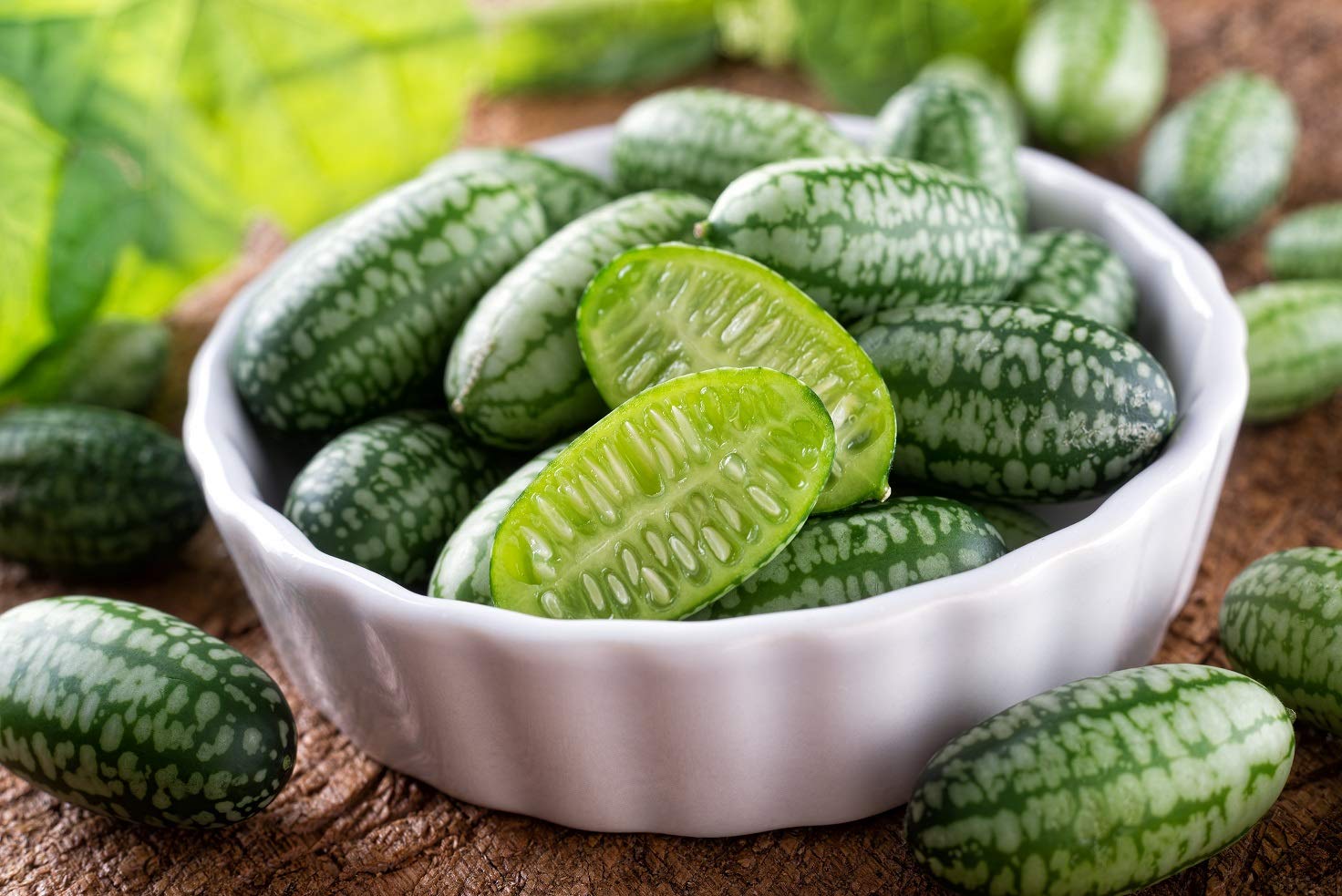 Mouse Melon Seeds | 20 Seeds | Grow This Exotic and Rare Garden Fruit | Cucamelon Seeds, Tiny Fruit to Grow