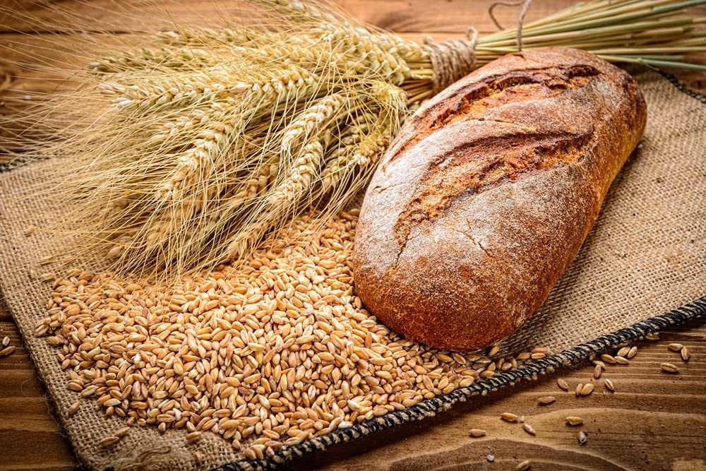 Wheat Berries - 5 Pounds - Farm Fresh Hard Red Winter Wheat Berries - Made in USA