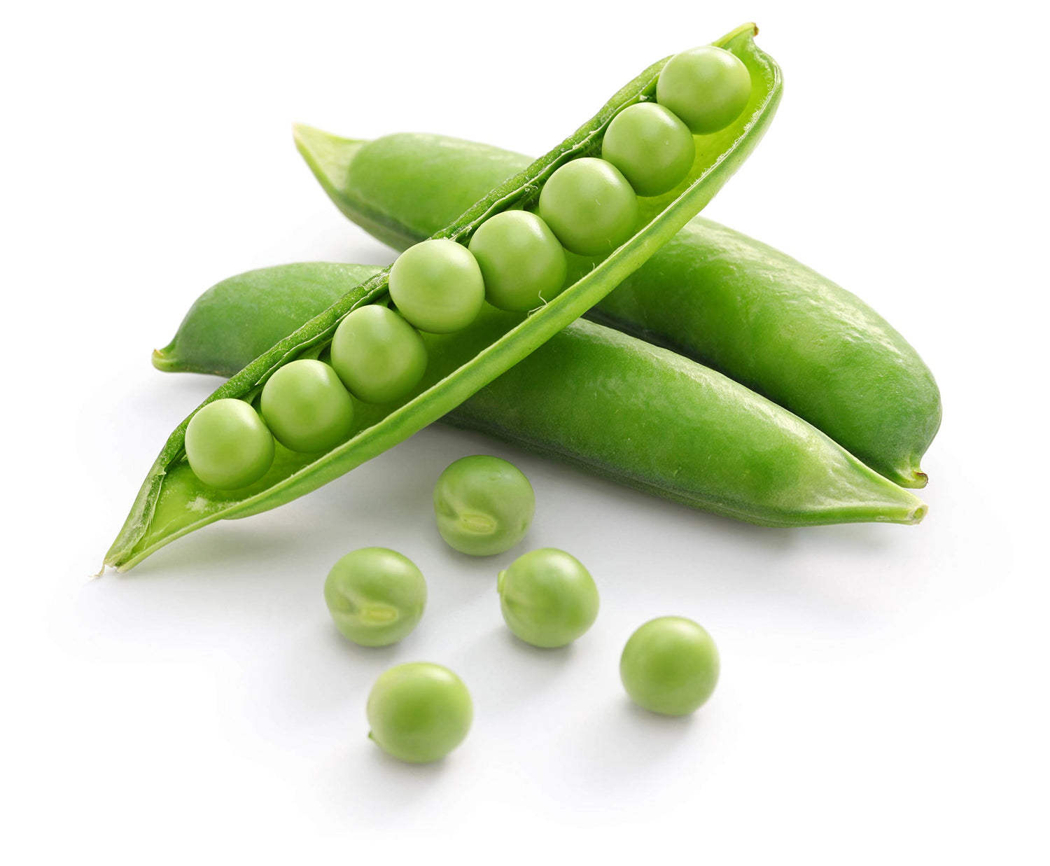 Pea Seeds for Planting - Sprouting - Microgreens - Oregon Sugar Pod II - 50 Vegetable Seeds - Made in USA, Ships from Iowa. Exotic Fruit Seeds