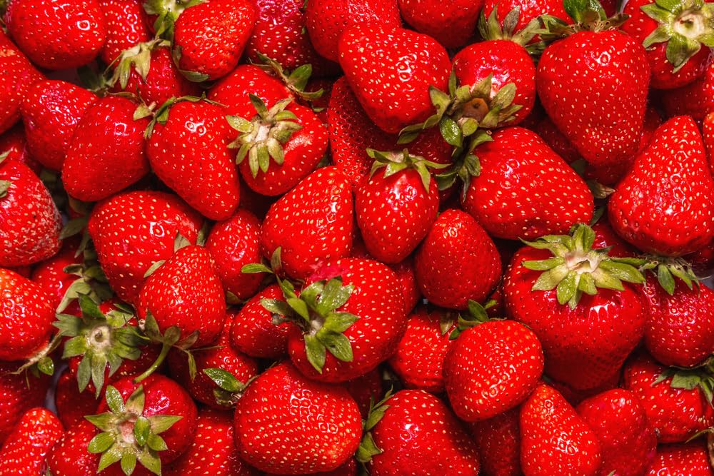 Malwina Strawberry Plants - Bare Root Plants to Grow Strawberries - Ready to Ship - No Ship to California
