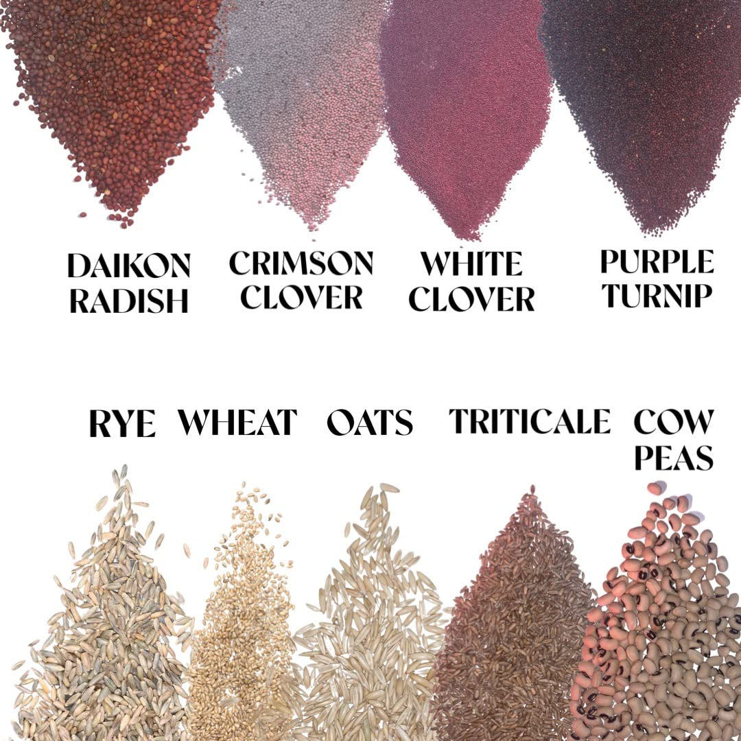 No-Till Cover Crop 10 Seed Mix - Winter Rye, White Clover, Austrian Winter Peas, Triticale, Crimson Clover, Cow Peas, Daikon Radish, Purple Turnips, Wheat, Oats,
