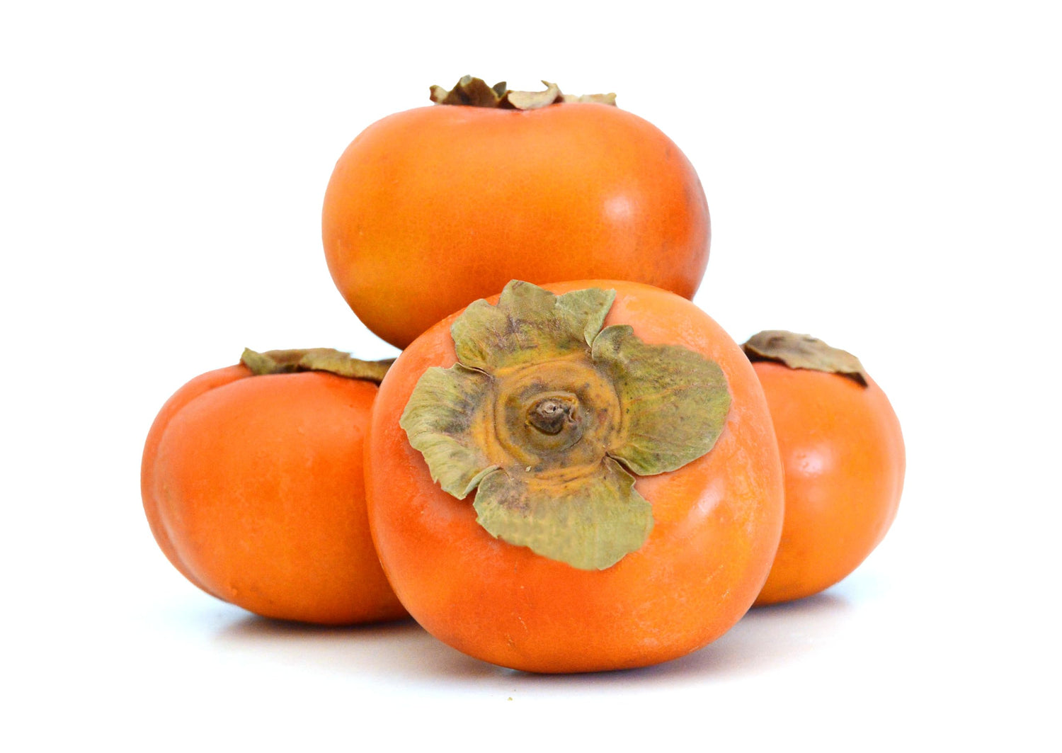 American Persimmons Tree Seedling for Planting - Delicious Persimmon Fruit Tree (One Healthy Seedling)