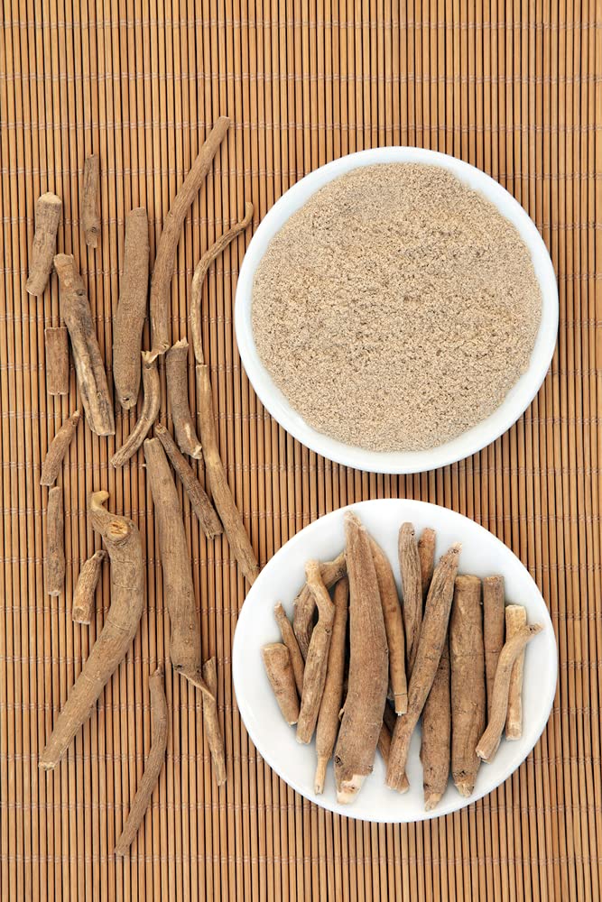 CZ Grain 10 Siberian Ginseng Seeds - Root is Very Good for Health - Shipped from Iowa. Made in USA