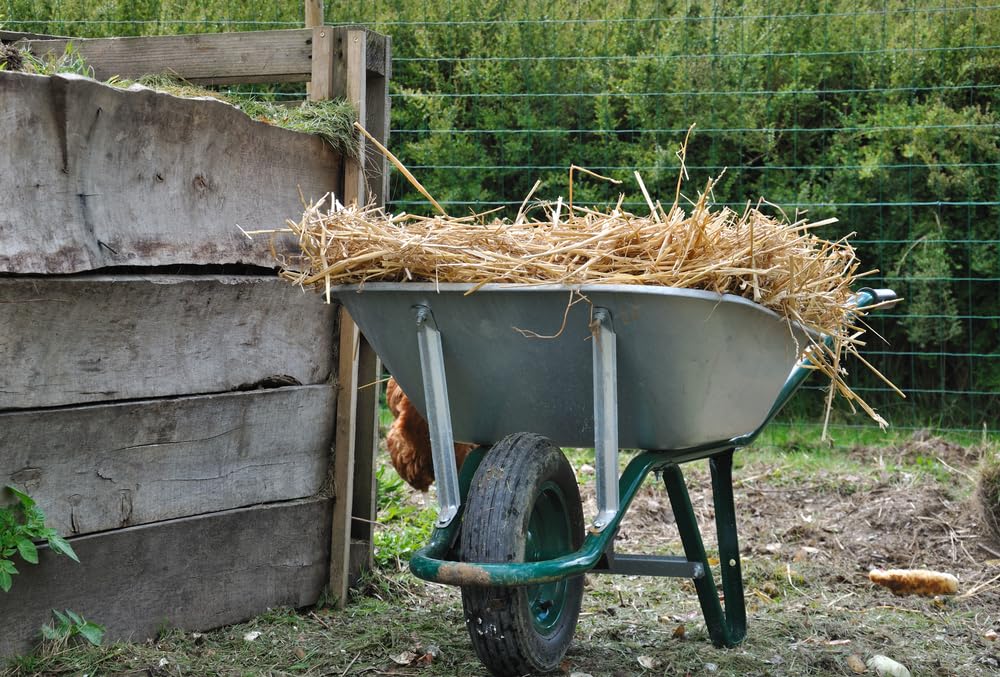 Wheat Straw Garden Mulch - Great for Strawberry Patch and Vegetable Garden Mulch - All Natural, Non-GMO