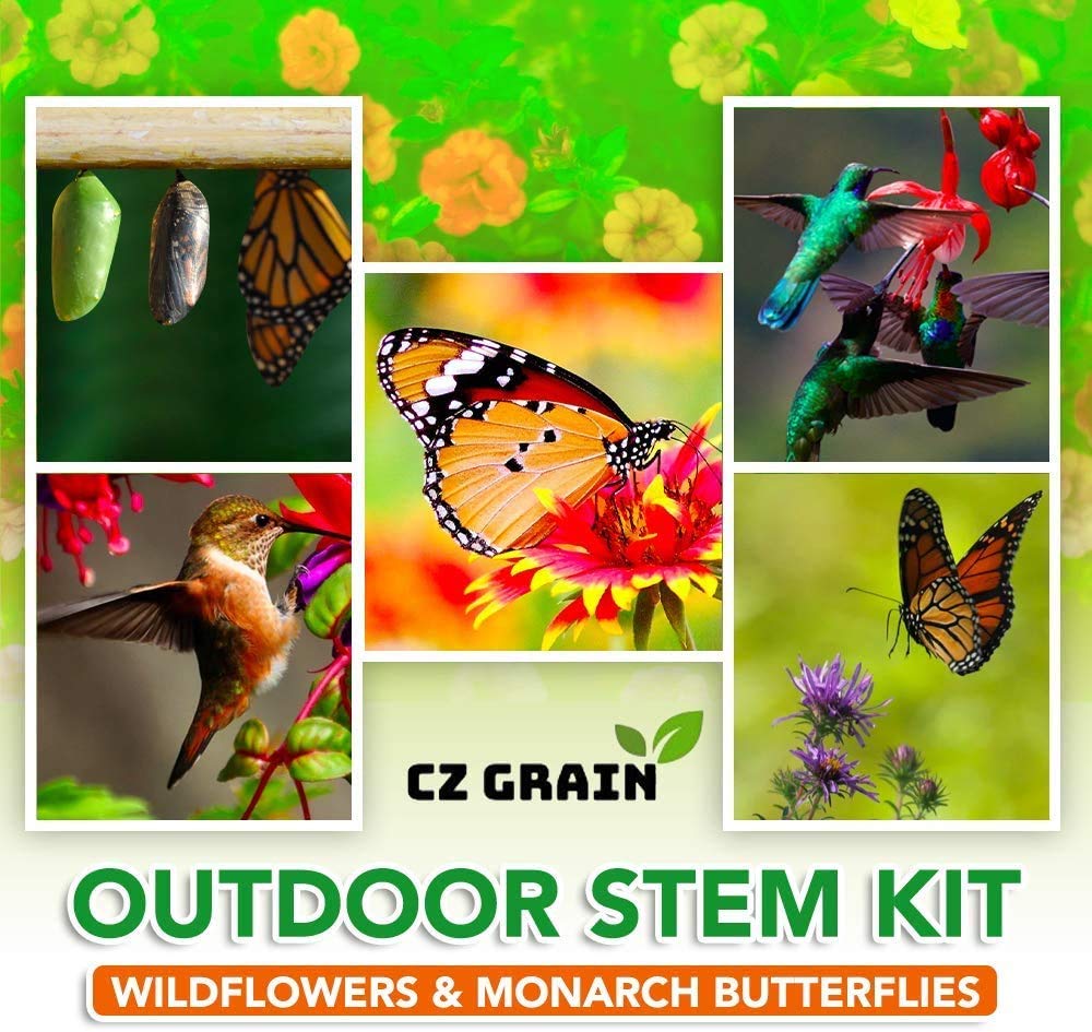 Outdoor STEM Kit - Wildflowers for Hummingbirds and Monarch Butterflies - Perennial Wildflower Seed Sewing Kit