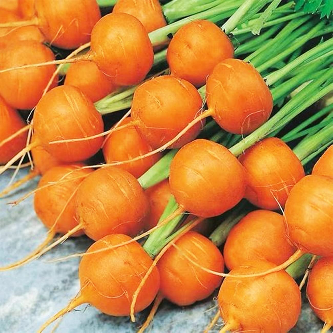 Round Parisian Carrot Seeds | Heirloom & Non-GMO Carrot Seeds | 100+ Vegetable Seeds for Planting Outdoor Home Gardens | Planting Instructions Included