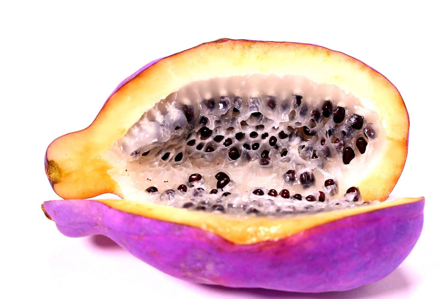 15 Exotic Chocolate Vine Seeds for Planting - Akebia quinata, Five Leaf Vine - Ships from Iowa, USA