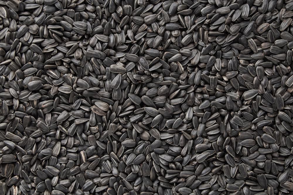 5 Pounds Wild Bird Food, Black Oil Sunflower Seeds - Great for Songbirds, Finch, Cardinals