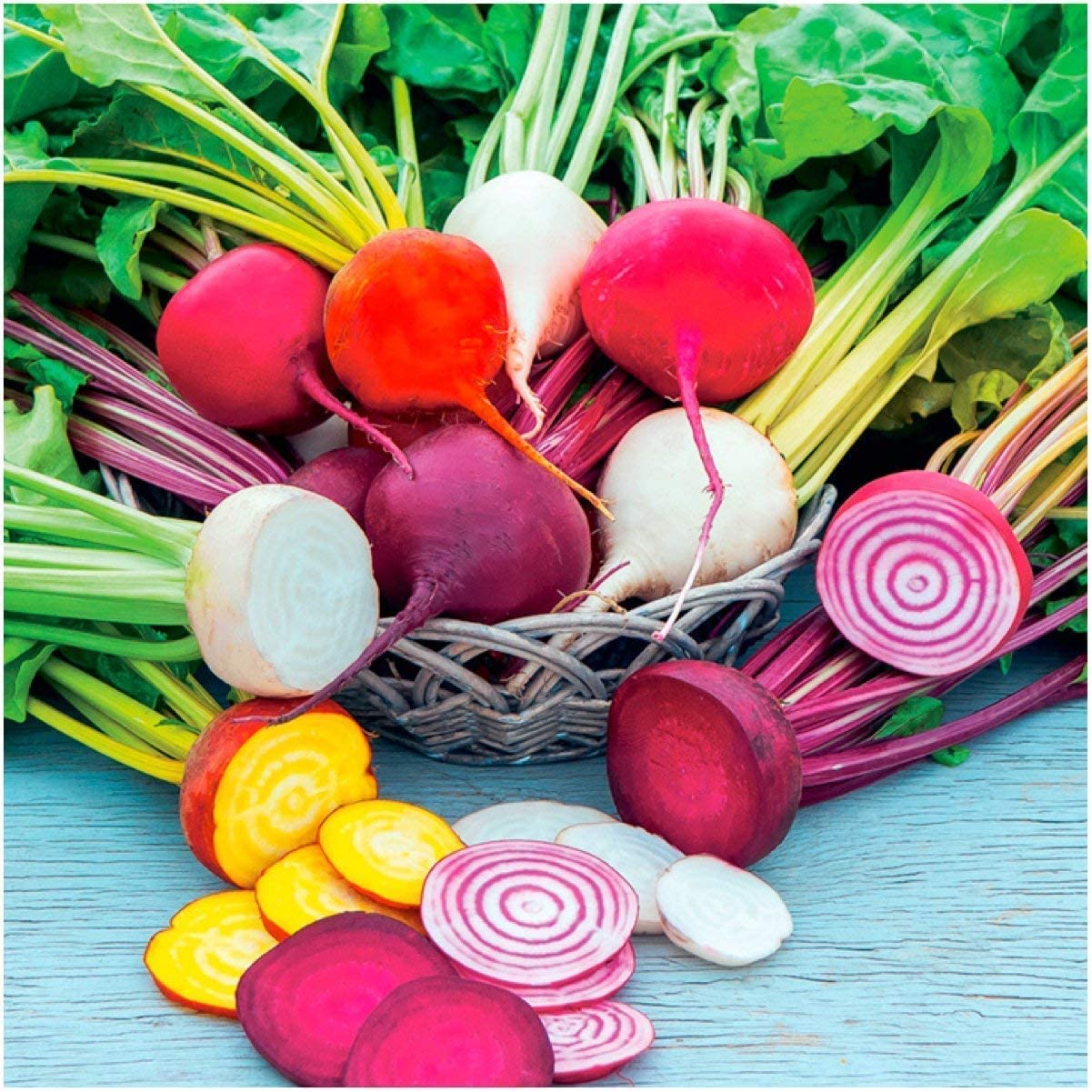 500+ Rainbow Beet Seed Mixture - 8 Variety Heirloom Mix (Beta vulgaris) Bulk Non-GMO