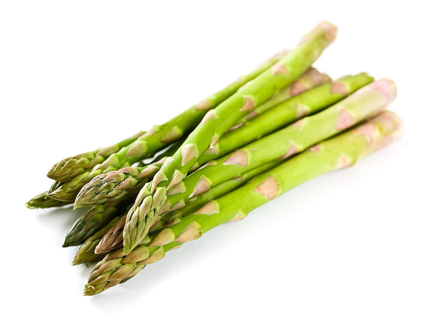 Mary Washington Asparagus 100 Seeds - Organic Heirloom Non GMO Vegetable Seeds, Asparagus Organic Seeds for Planting, Vegetable Seeds for Planting Home Garden