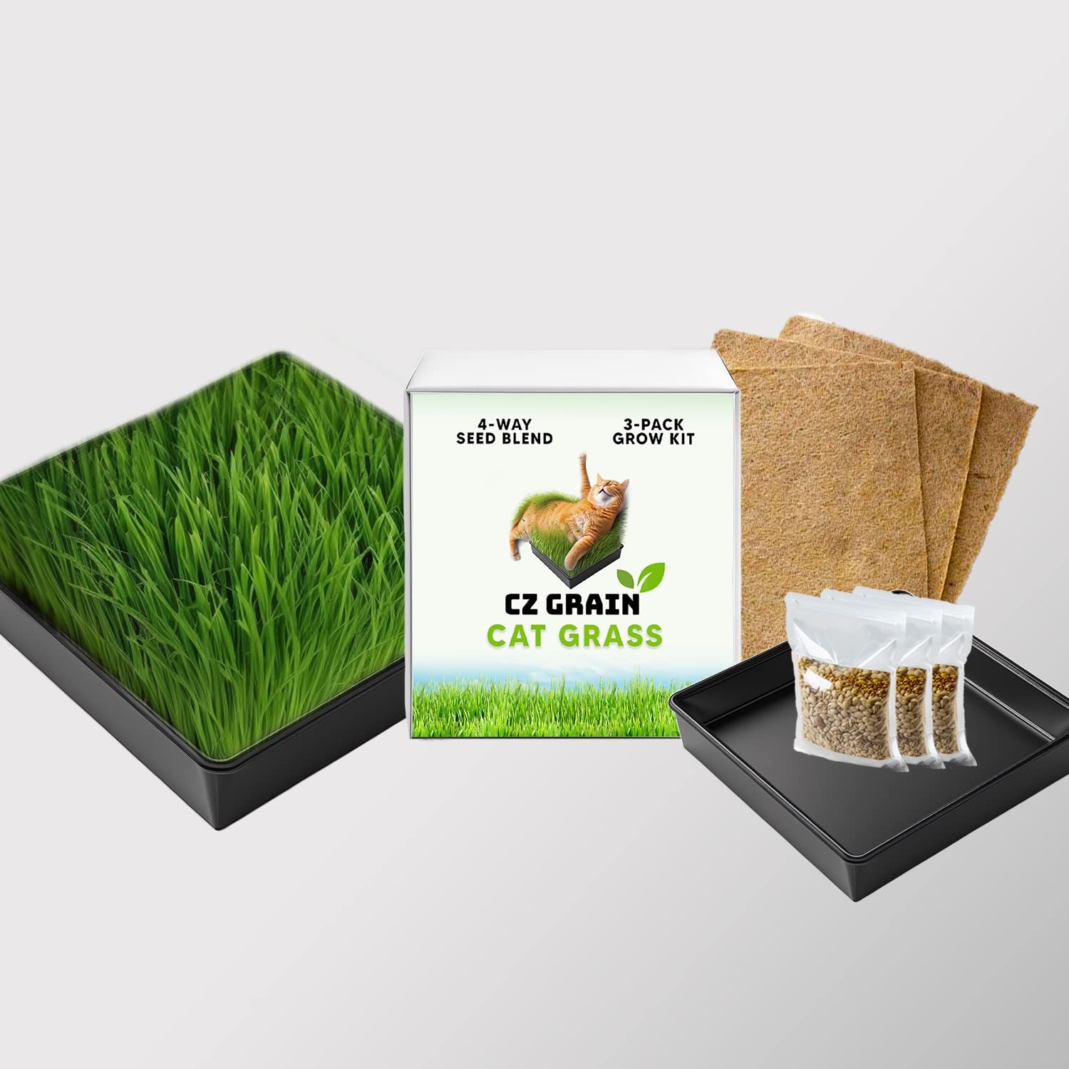 Cat Grass Growing Kit - Organic Seed, Jute Grow Mats, 10 x 10 Grow Container - Great for Indoor or Outdoor Cat, Dogs and Other Pets - Pet Grass