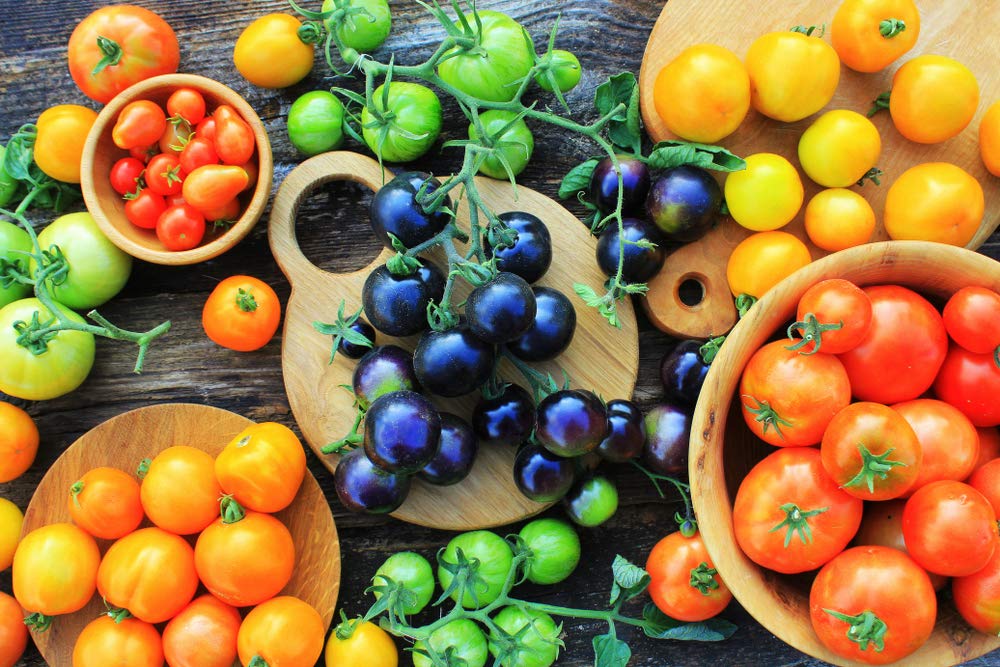 "Midnight Snack" Black Cherry Tomato Seeds for Planting - 100+ Seeds - Amazing Taste, Very Sweet - Great for Salads - Made in USA. Ships from Iowa. Dwarf Fruit Seeds