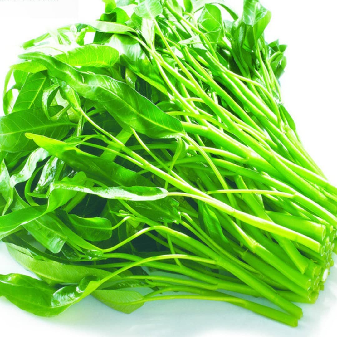 The Rike 2000 Kangkong Seeds, Ong Choy, Rau Muong Swamp Cabbage tangkong kangkung Vegetable Seeds + Free Bandana mask